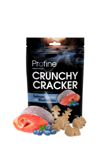 Profine Crunchy Snack laks og blåbær