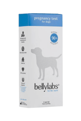 Bellylabs Pregnancy Test for Dogs
