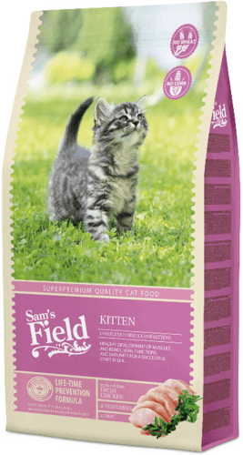 Sams Field Cat Kitten